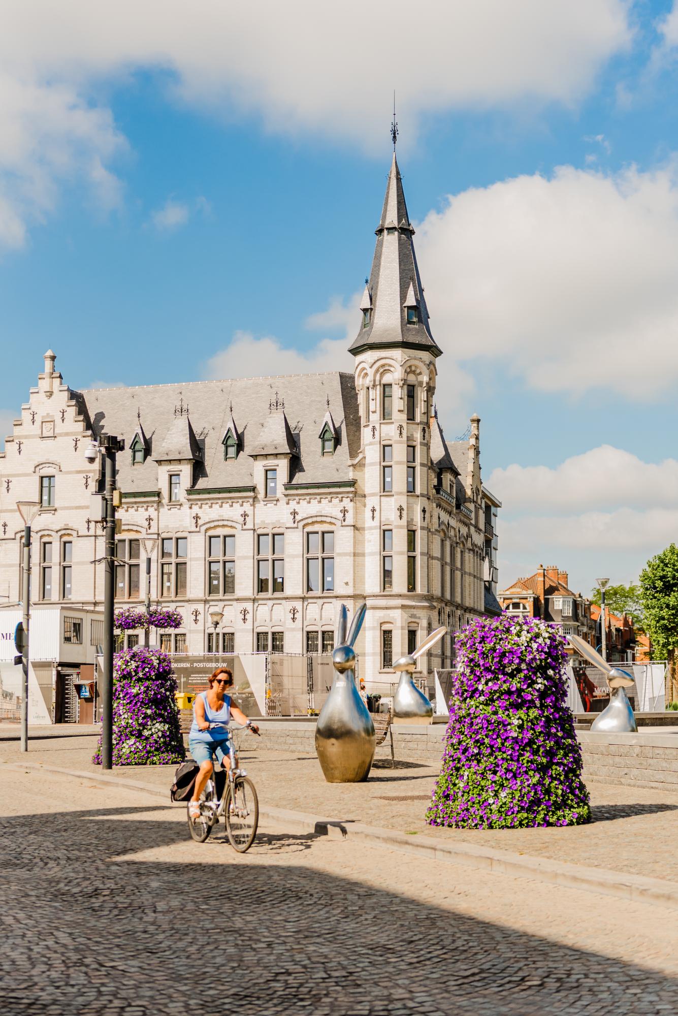 Wakker Waasland bij Stad Lokeren