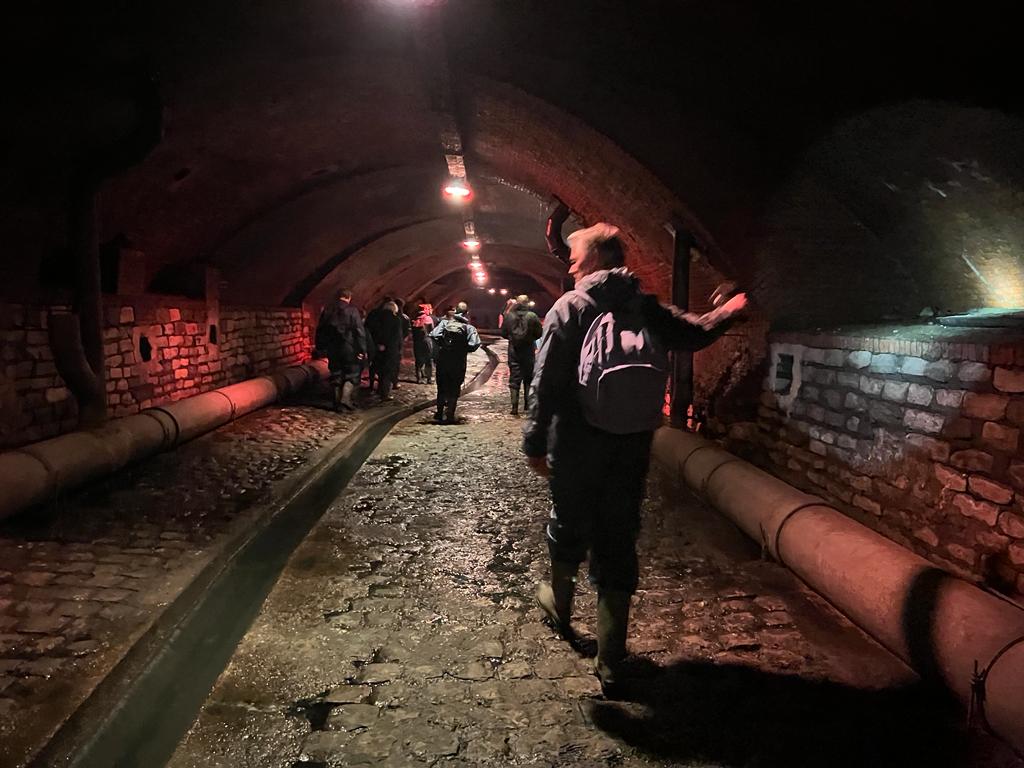 Wandeling in de Ruien - Link26
